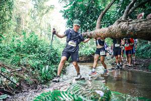 BIB: 
                            <button type="button" onclick="openModal(25475960)" class="btn btn-primary btn-sm float-right btn-popup" data-toggle="modal" data-target=".modal-high-quality">
                        <i class="fas fa-shopping-cart"></i> Add to Cart
                    </button>
                                            <button type="button" onclick="isThisMe(25475960, true)" class="btn btn-success btn-sm float-right btn-popup btn-isme hidden" data-toggle="tooltip" data-placement="bottom" title="นี่คือรูปของคุณใช่ไหม คลิกที่นี่เพื่อเอาเข้าอัลบั้ม">
                        <i class="fas fa-plus"></i> Add to album
                    </button>
                    <button type="button" onclick="isThisMe(25475960, false)" class="btn btn-warning btn-sm float-right btn-popup btn-isnotme hidden">
                        <i class="fas fa-ban"></i> Remove from album
                    </button>